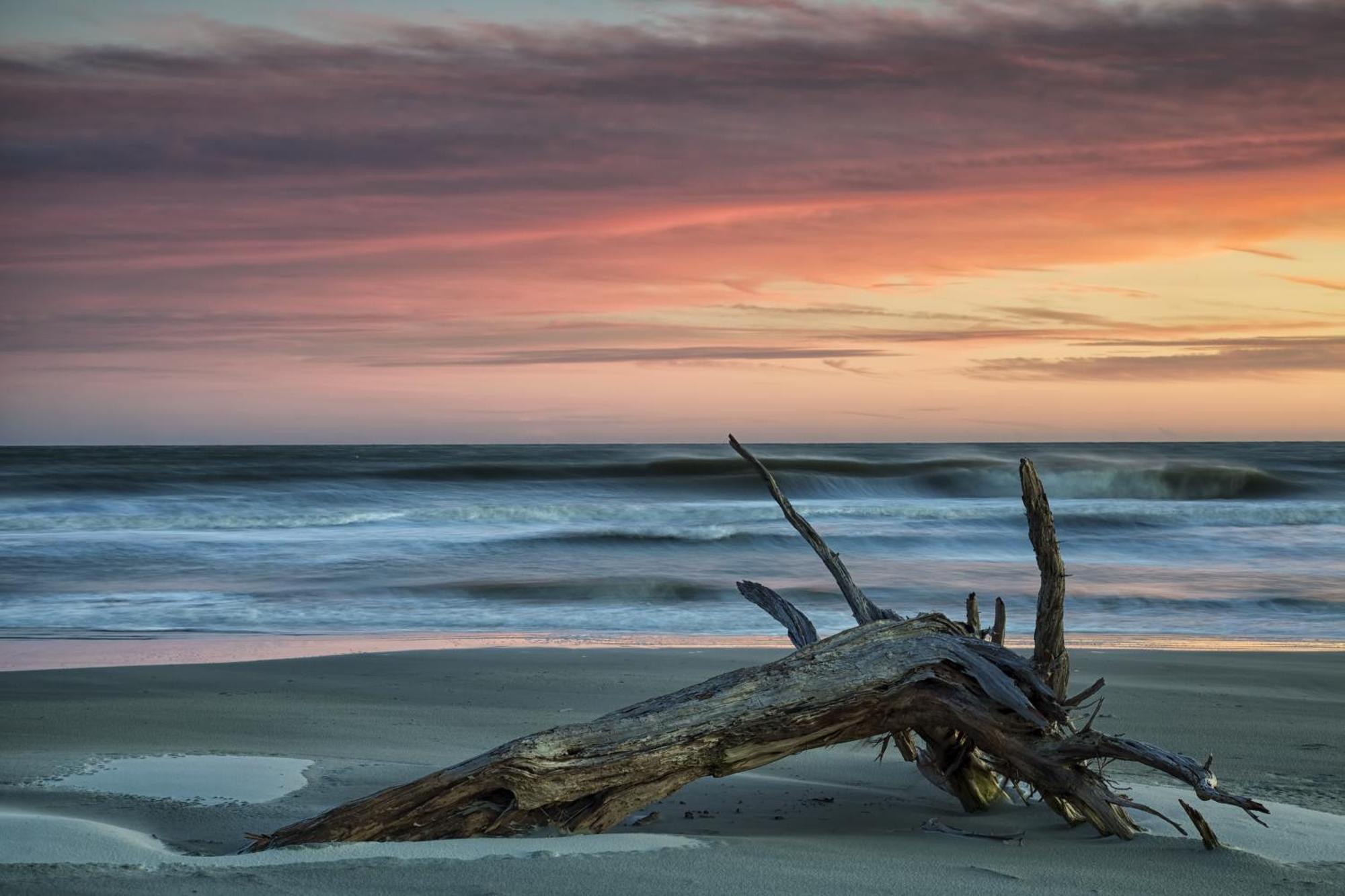 Dunes Villas Hilton Head Island Rom bilde